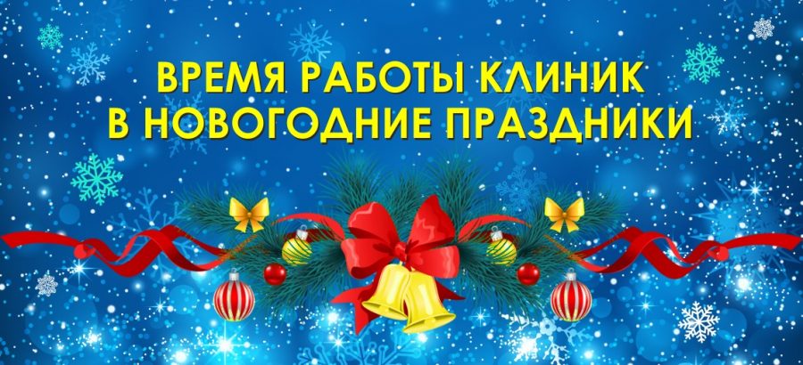 График работы в Новогодние праздники!